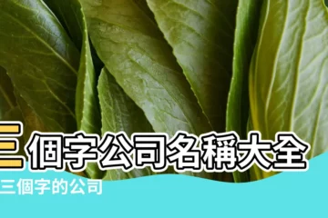 【三個字公司名大全】三個字公司名稱大全集 |三個字的公司名字大全集 |3個字的公司名字大全 |