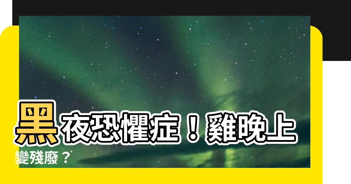 【雞晚上看不到】黑夜恐懼症！雞晚上變殘廢？