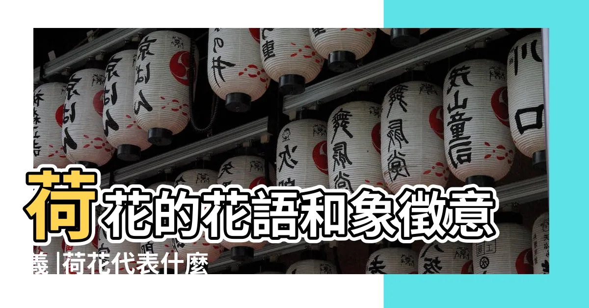 【荷花代表什麼】荷花的花語和象徵意義 |荷花代表什麼意思 |荷花花語是什麼 |