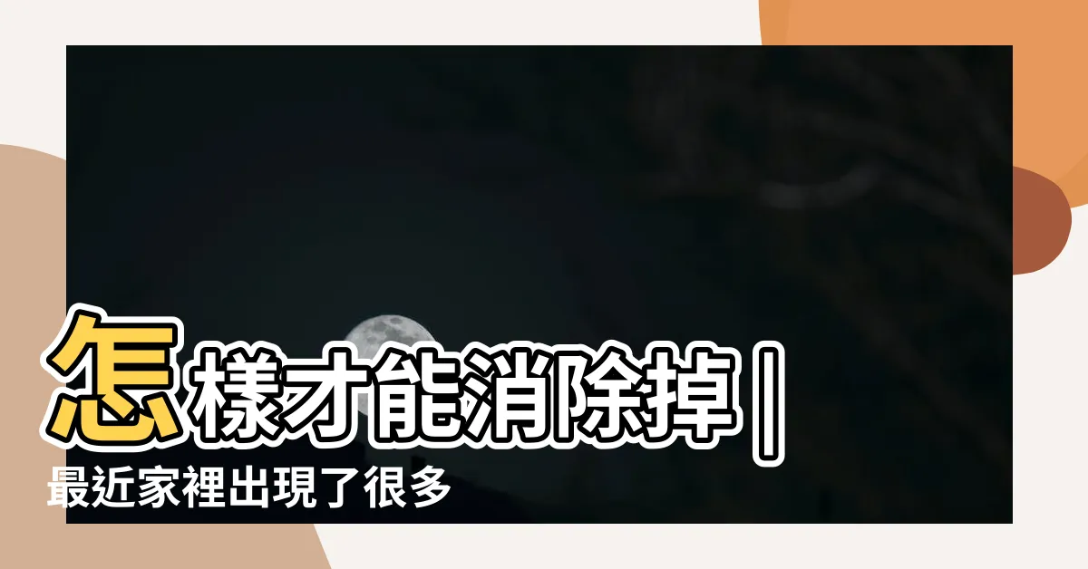 【家裡蜘蛛變多】怎樣才能消除掉 |最近家裡出現了很多蜘蛛怎麼回事 |簡單3招擊退蜘蛛 |