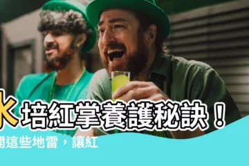 【紅掌水種】水培紅掌養護秘訣！避開這些地雷，讓紅掌葉色鮮豔，生機盎然