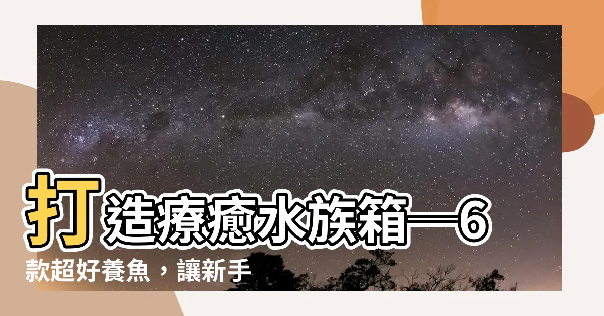 【好養魚】打造療癒水族箱─6款超好養魚，讓新手輕鬆入門！