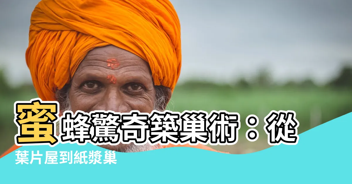 【蜜蜂怎麼築巢】蜜蜂驚奇築巢術：從葉片屋到紙漿巢