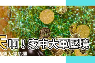 【出現螞蟻】天啊！家中大軍壓境，螞蟻入侵危機