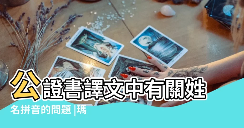 公證書譯文中有關姓名拼音的問題 |瑪麗奪魁 |向參與方添加名稱時應填寫的信息字段 |【向中 人名】
