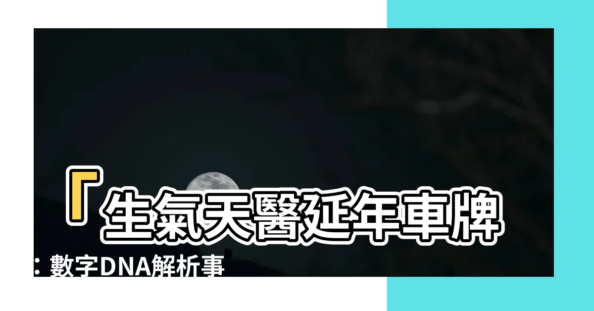 【生氣天醫延年車牌】「生氣天醫延年車牌：數字DNA解析事業幫助的神奇方式」