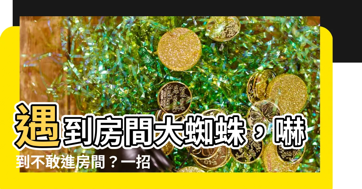 【房間出現大蜘蛛】遇到房間大蜘蛛，嚇到不敢進房間？一招教你無痛解決問題！