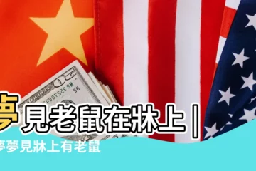 【夢見牀上有兩隻小老鼠】夢見老鼠在牀上 |做夢夢見牀上有老鼠好不好 |夢見一羣小老鼠在牀上 |
