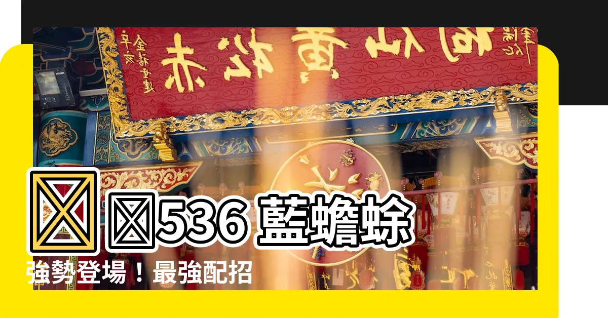 【藍蟾蜍 配招】⚡️536 藍蟾蜍強勢登場！最強配招一次看⚡️
