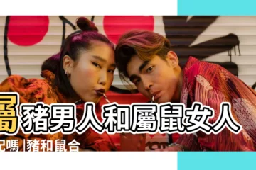 【婚配屬豬屬鼠能合適嗎】屬豬男人和屬鼠女人相配嗎 |豬和鼠合不合生肖鼠和豬相配嗎 |屬鼠男人和屬豬女人相配嗎 |