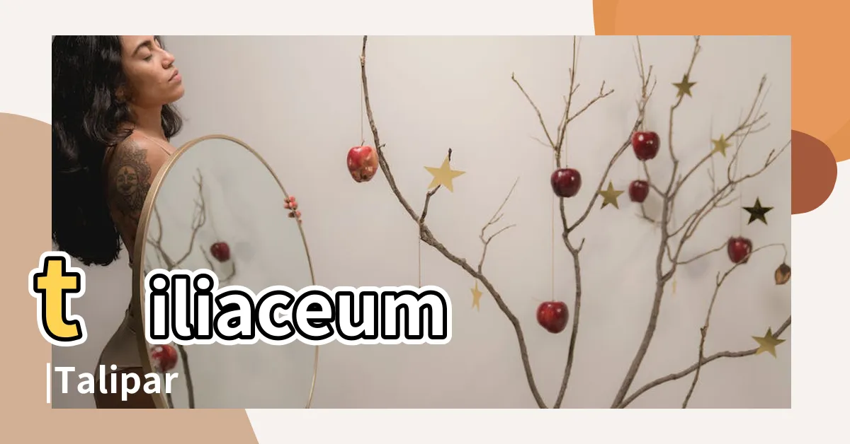 【黃槿風水】tiliaceum |Talipariti |開花時間 |
