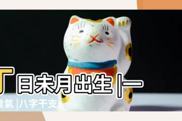【丁酉年丁未月己酉日】丁日未月出生 |一身貴氣 |八字干支解讀 |