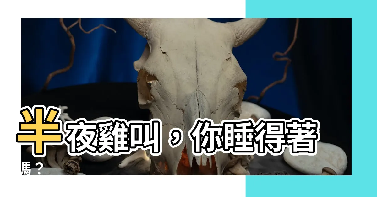 【半夜雞叫】半夜雞叫，你睡得著嗎？