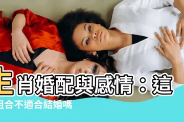 【生肖婚配準嗎】生肖婚配與感情：這對組合不適合結婚嗎？揭露生肖婚配真相