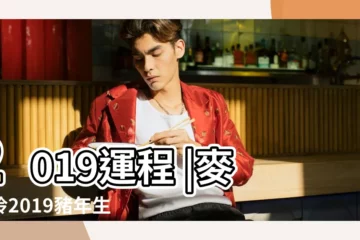 【1993年屬蛇2019年運勢】2019運程 |麥玲玲2019豬年生肖運程 |屬蛇2019年運勢及運程屬蛇人2019年全年運勢 |
