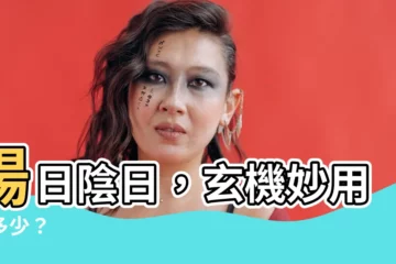 【陽日陰日】陽日陰日，玄機妙用知多少？