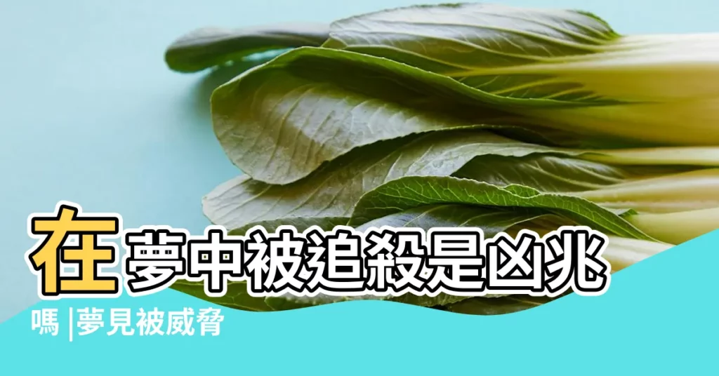 在夢中被追殺是凶兆嗎 |夢見被威脅 |夢境解讀師 |【夢見女朋友被歹徒傷害】