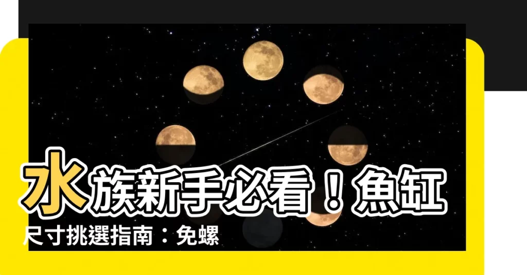 【水族箱尺寸】水族新手必看！魚缸尺寸挑選指南：免螺絲角鋼魚缸架篇