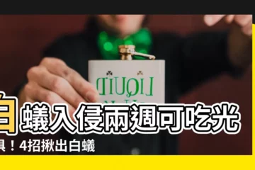 【白蟻 徵兆】白蟻入侵兩週可吃光傢俱！4招揪出白蟻 徵兆，防治刻不容緩