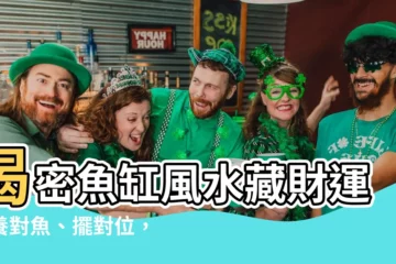 【魚 風水】揭密魚缸風水藏財運！養對魚、擺對位，財源滾滾不間斷