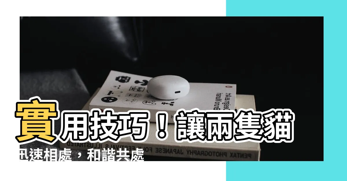 【2隻貓相處】實用技巧！讓兩隻貓迅速相處，和諧共處的必備指南！