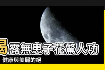 【無患子花】揭露無患子花驚人功效：健康與美麗的絕佳選擇