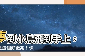【夢到小鳥飛到手上】夢到小鳥飛到手上，竟是這個好徵兆！快來一探究竟！