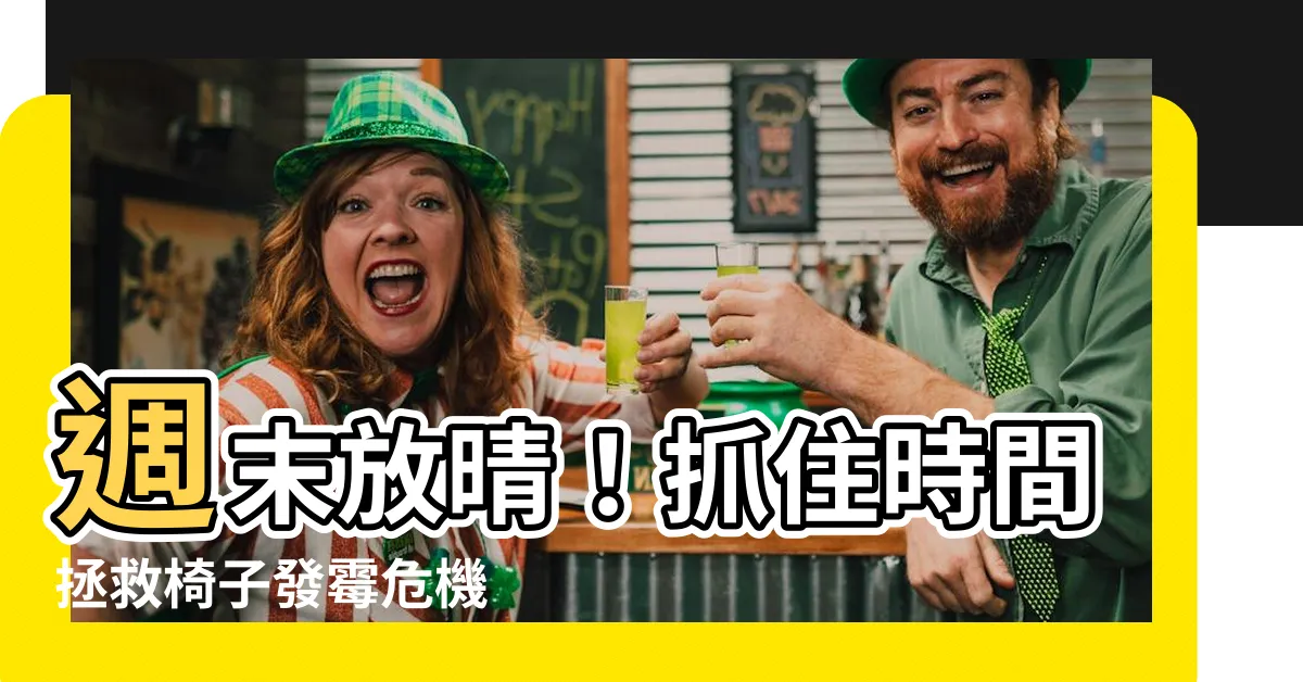 【椅子發黴】週末放晴！抓住時間拯救椅子發黴危機
