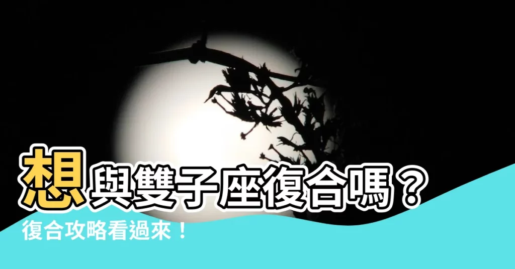 【雙子座 復合】想與雙子座復合嗎？復合攻略看過來！