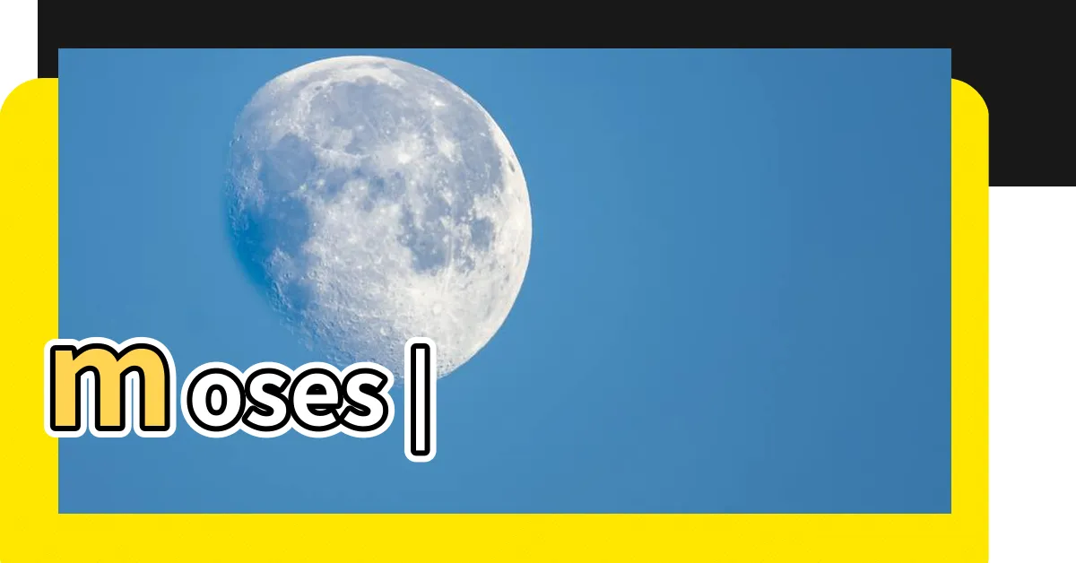 【陳豪】moses |