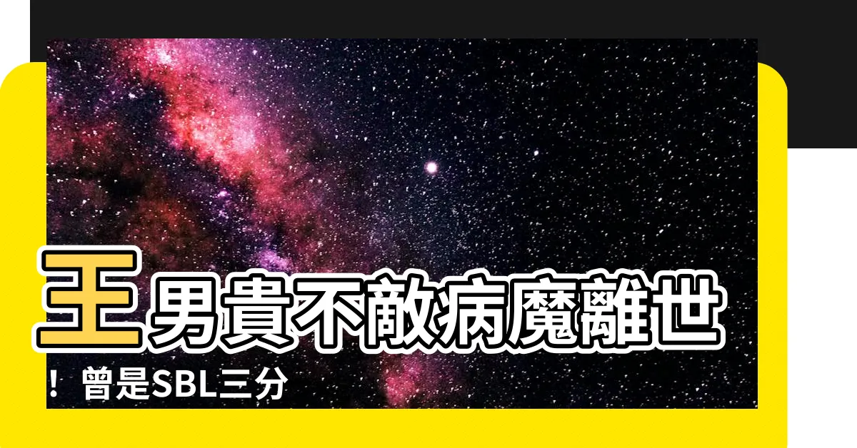 【王男貴】王男貴不敵病魔離世！ 曾是SBL三分球冠軍，好友臉書哀悼