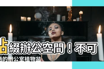【辦公室植物盆栽】點綴辦公空間！不可錯過的辦公室植物盆栽推薦