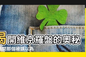 【維京羅盤】揭開維京羅盤的奧秘：揭開那個被誤以為是維京圖騰的象徵意義