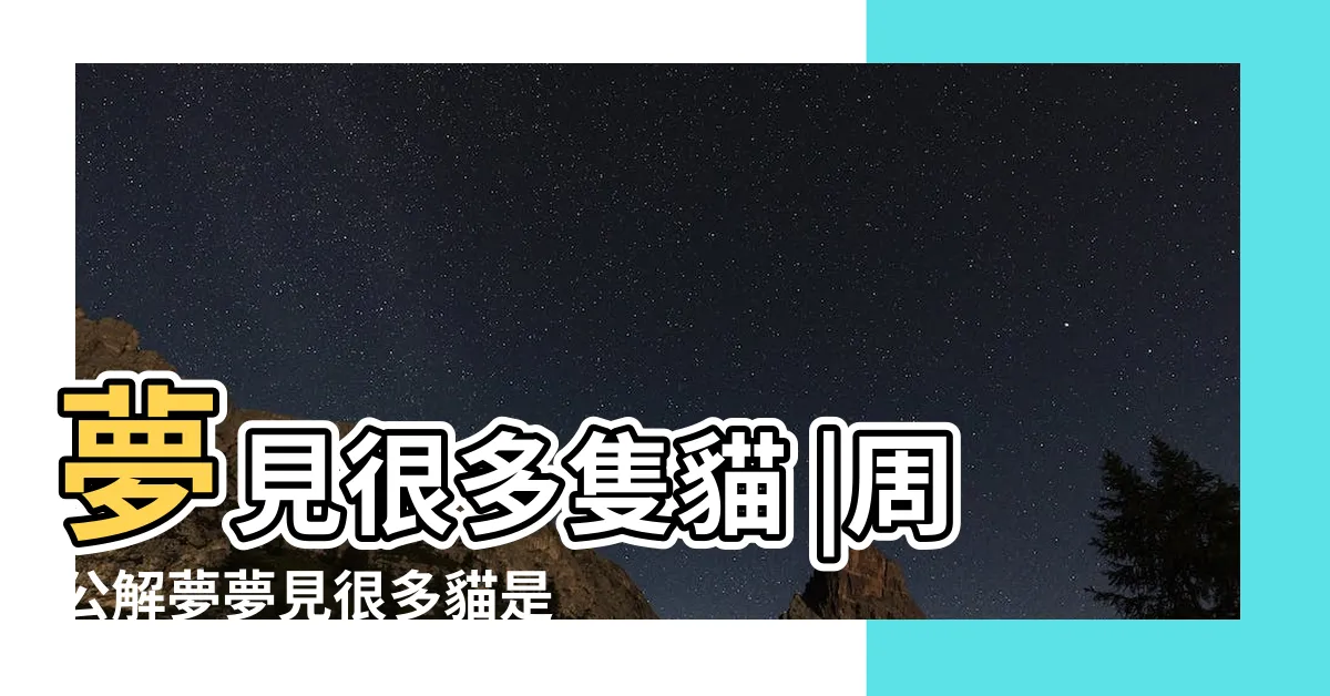 【夢見一堆貓】夢見很多隻貓 |周公解夢夢見很多貓是什麼意思做夢夢到 |夢見一羣貓 |