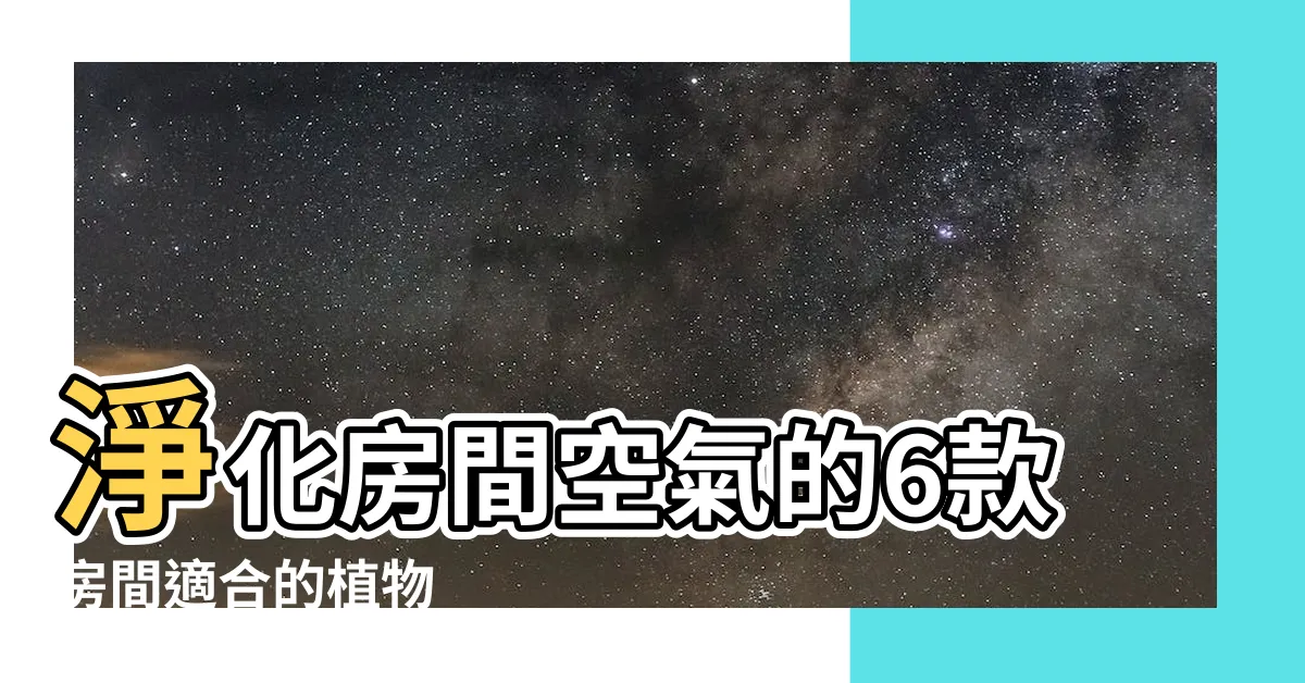 【房間適合的植物】淨化房間空氣的6款房間適合的植物