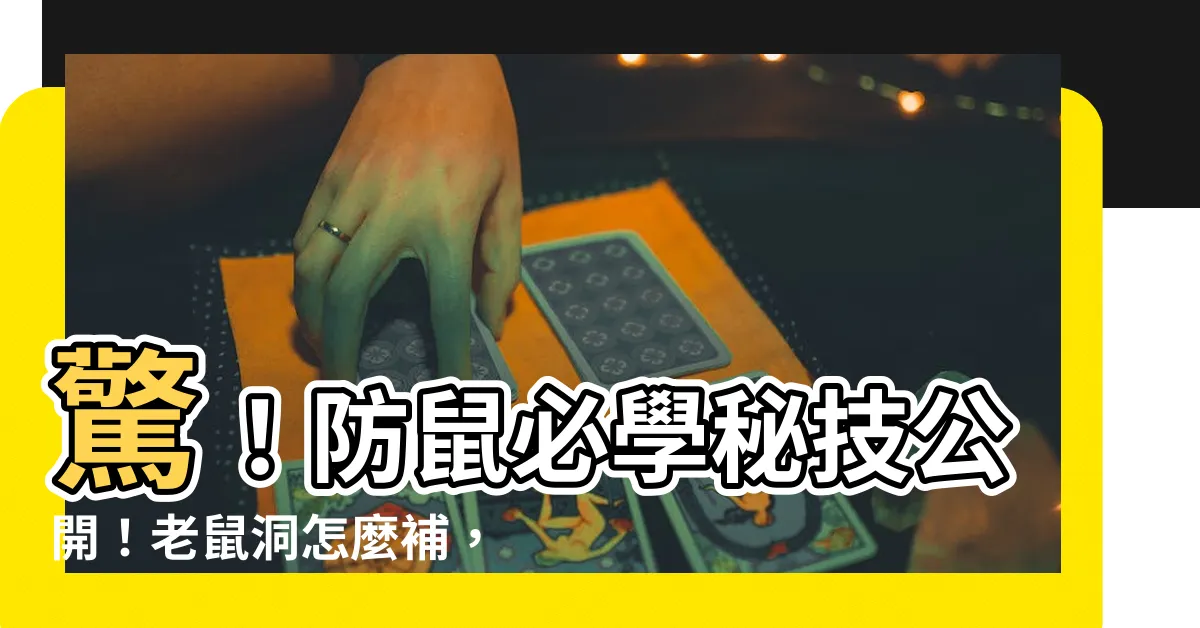 【老鼠洞怎麼補】驚！防鼠必學秘技公開！老鼠洞怎麼補，一次搞懂！