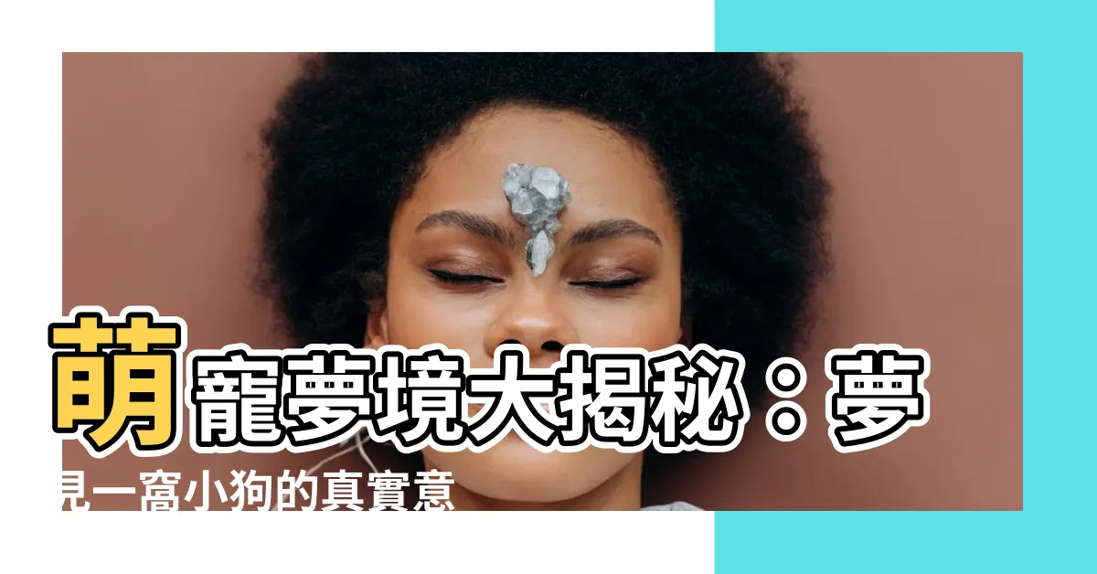 【夢見一窩小狗】萌寵夢境大揭秘：夢見一窩小狗的真實意義！