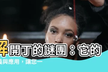 【丁的意思】解開丁的謎團：它的意義與應用，讓您一目瞭然