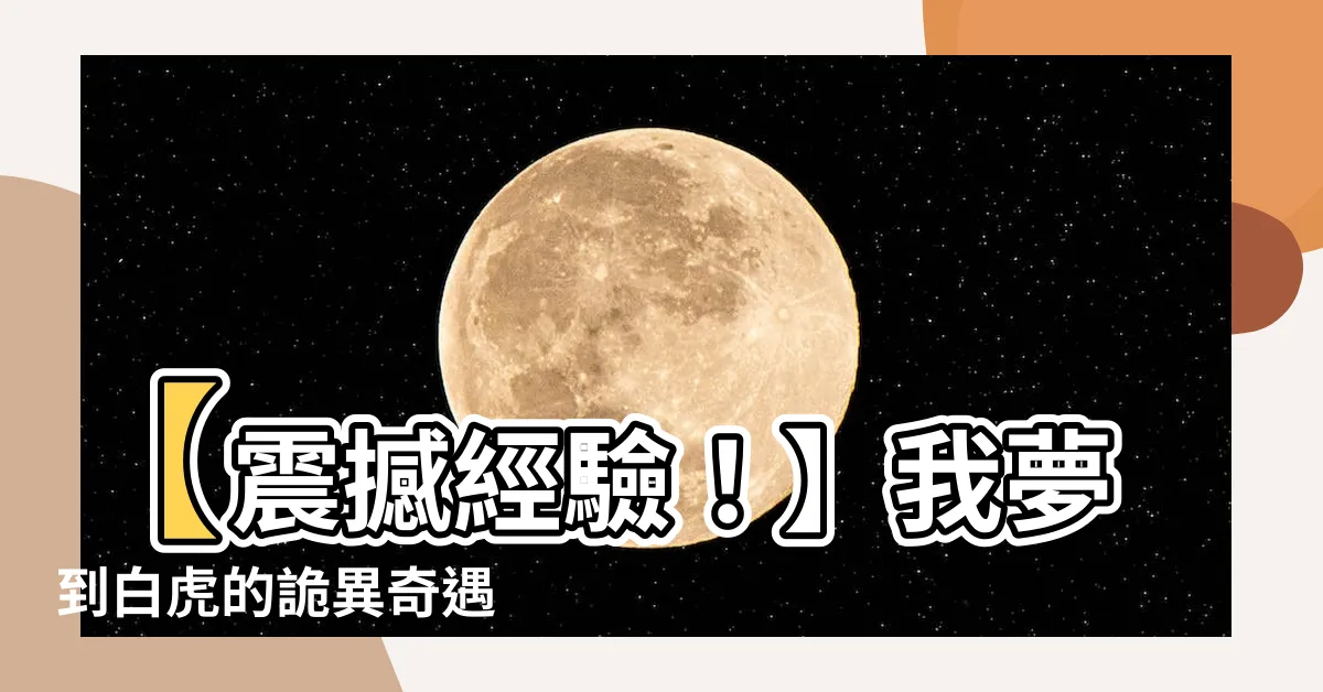 【夢到白虎】【震撼經驗！】我夢到白虎的詭異奇遇