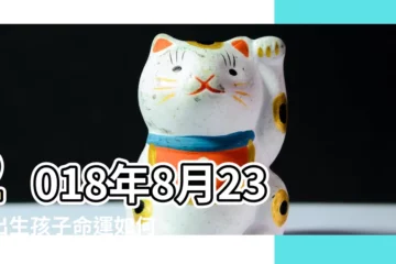 【2018年陰曆8月23日生子】2018年8月23日出生孩子命運如何 |2018年8月生子黃道吉日查詢 |2018年8月23日出生時間看命運 |