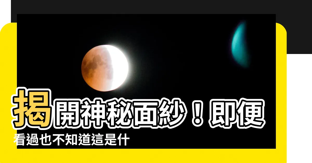 【即是什麼】揭開神秘面紗！即便看過也不知道這是什麼！