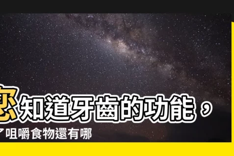【牙齒的功能】您知道牙齒的功能，除了咀嚼食物還有哪些嗎？