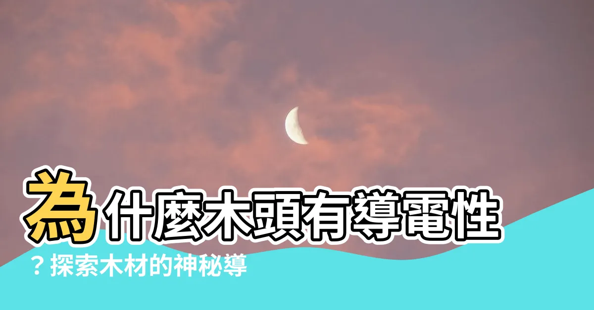 【木頭會導電嗎】為什麼木頭有導電性？探索木材的神秘導電能力！