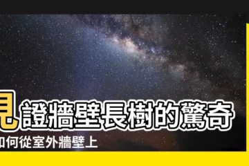 【牆壁長樹】見證牆壁長樹的驚奇！如何從室外牆壁上安全地清除榕樹？