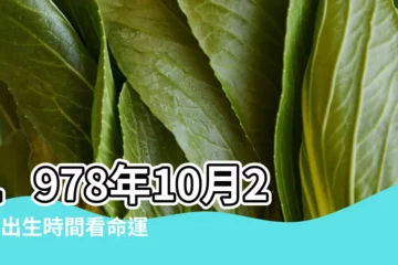 【1978年陽曆10月29命運】1978年10月29日出生時間看命運 |1978年10月29日出生的人的性格命運 |1978年10月29日出生日期看命運 |