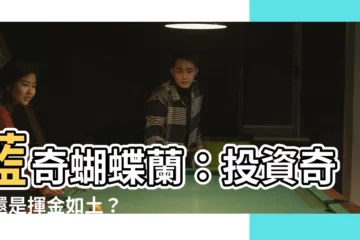 【藍色蝴蝶蘭】藍奇蝴蝶蘭：投資奇貨還是揮金如土？