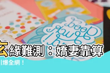 【玄緣難測小説】玄緣難測：嬌妻靠算命引爆全網！