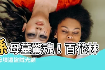 【孫母墓】孫母墓驚魂！百花林孫母墳遭盜賊光顧