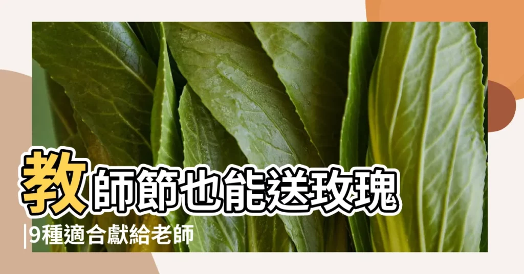 教師節也能送玫瑰 |9種適合獻給老師的鮮花 |老師謝謝你 |【教師節給老師送啥花】