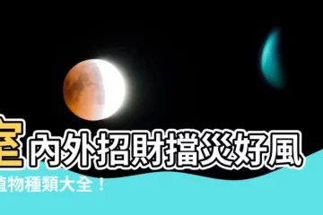 【風水植物種類】室內外招財擋災好風水植物種類大全！